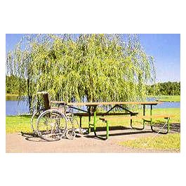 8-Ft. Wood ADA Picnic Table with 2.375 OD Painted Metal Frame