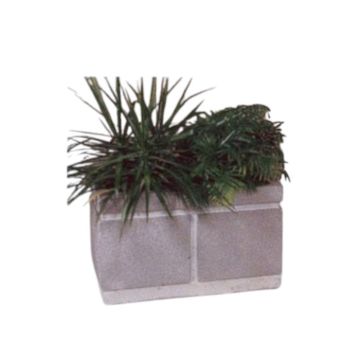 Rectangular Concrete Planter