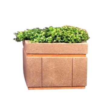 Square Concrete Planter