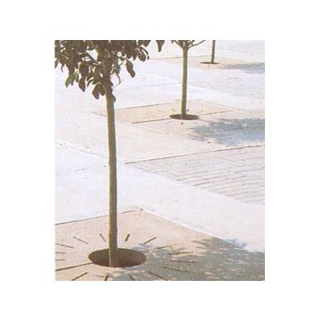 Concrete Tree Grate - 36L x 36W x 2-3/4T
