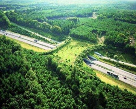 Bridging the Gap Between Concrete and Green