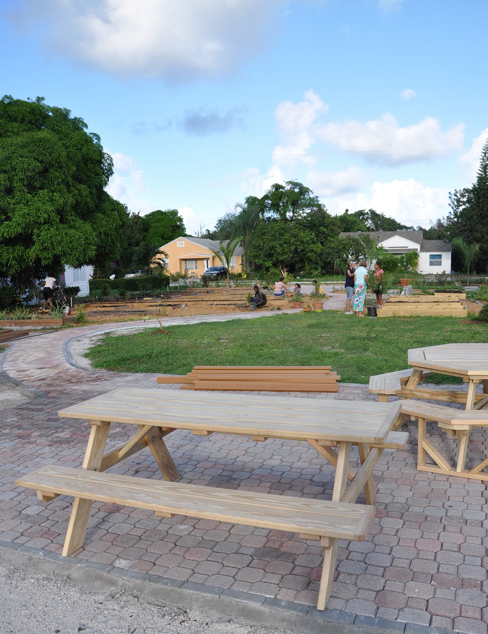 Frog Alley - A Community Garden built by passionate volunteers
