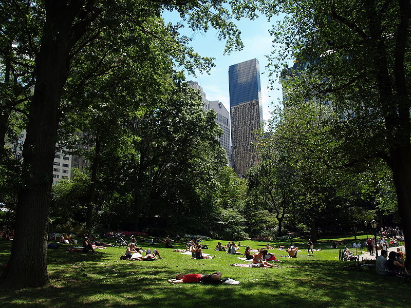 Sitting on Picnic Tables or Park Benches in Green, Open Spaces Can Make You Happier According to New Study