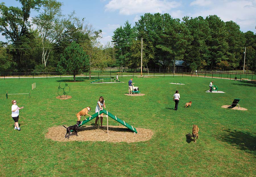 Hey Park Managers: Canines Need Playgrounds Too! Give Them Some Dog Park Equipment to Burn Up Energy