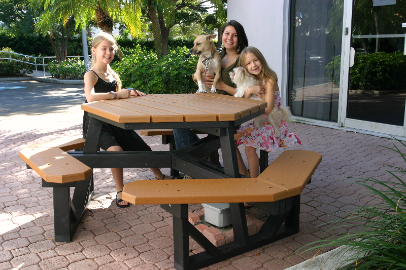 Display Recycled Plastic Picnic Tables and Plastic Benches (Maybe at No Cost) to Promote Benefits of Recycling in Your Town