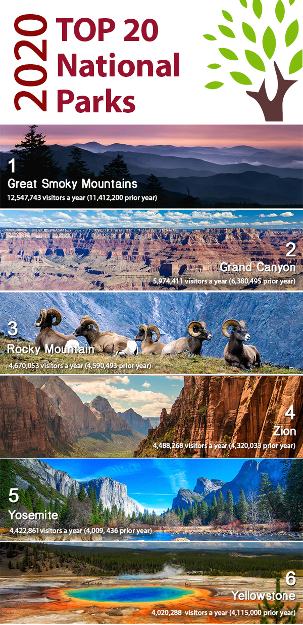 2020 Top National Parks In The US Based On Visitors