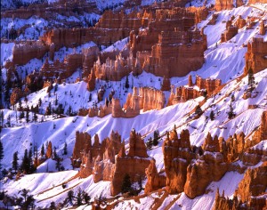 free photos from national parks