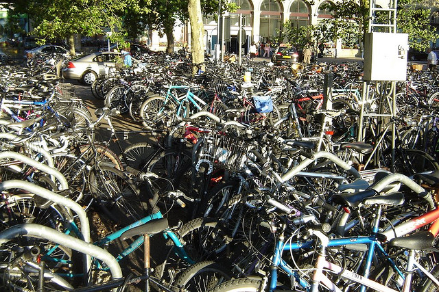 organized bicycle racks