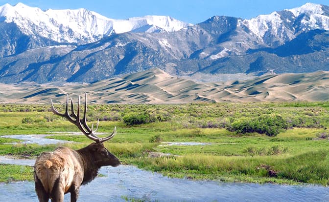 Here Are Some Interesting Park Facts To Celebrate The 103rd Birthday Of Our National Parks