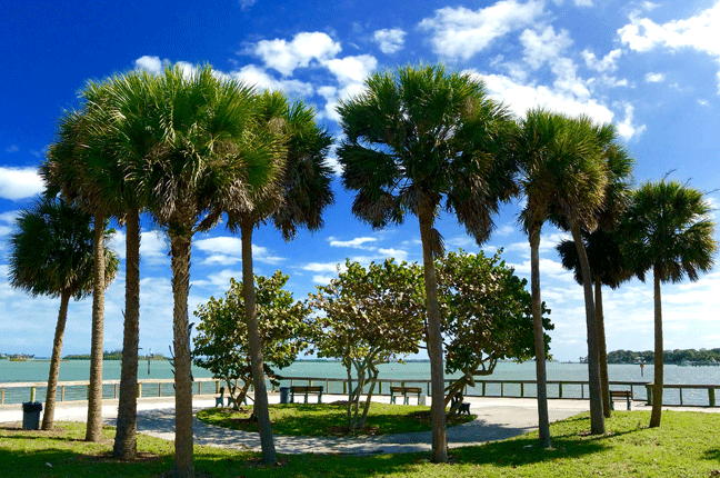 National Take a Walk in a Park Day - Sit on a Park Bench and Take in the Real World Sights