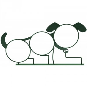 three hoop dog jump