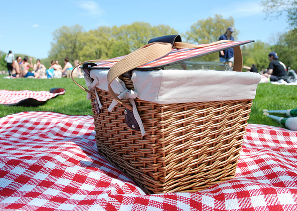 upicnic basket