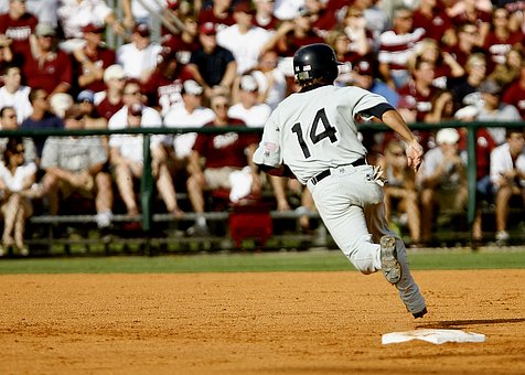 palm beach baseball