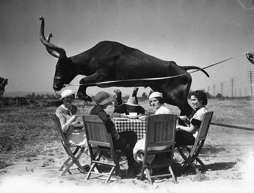 What is One Thing Royalty and the Public Both Enjoy? How about Dining Outside on Picnic Tables?
