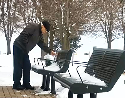 Memorial Bench Visited by Widower Every Day, With the Help of Two Park Employees