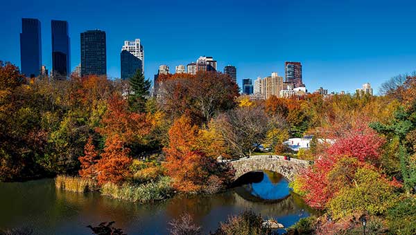 central-park-fall-web