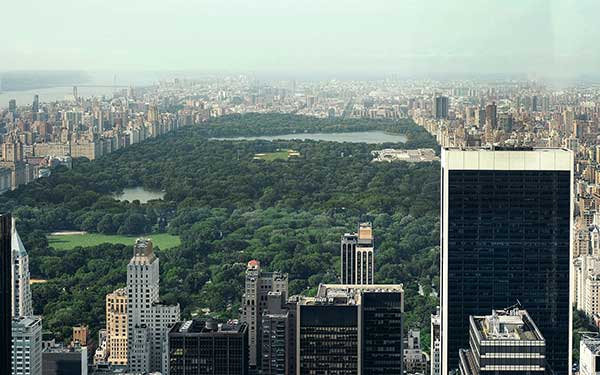Why Summer In Central Park Is One Busy Season From Planting, Pruning To Repairing All Those Wooden Benches