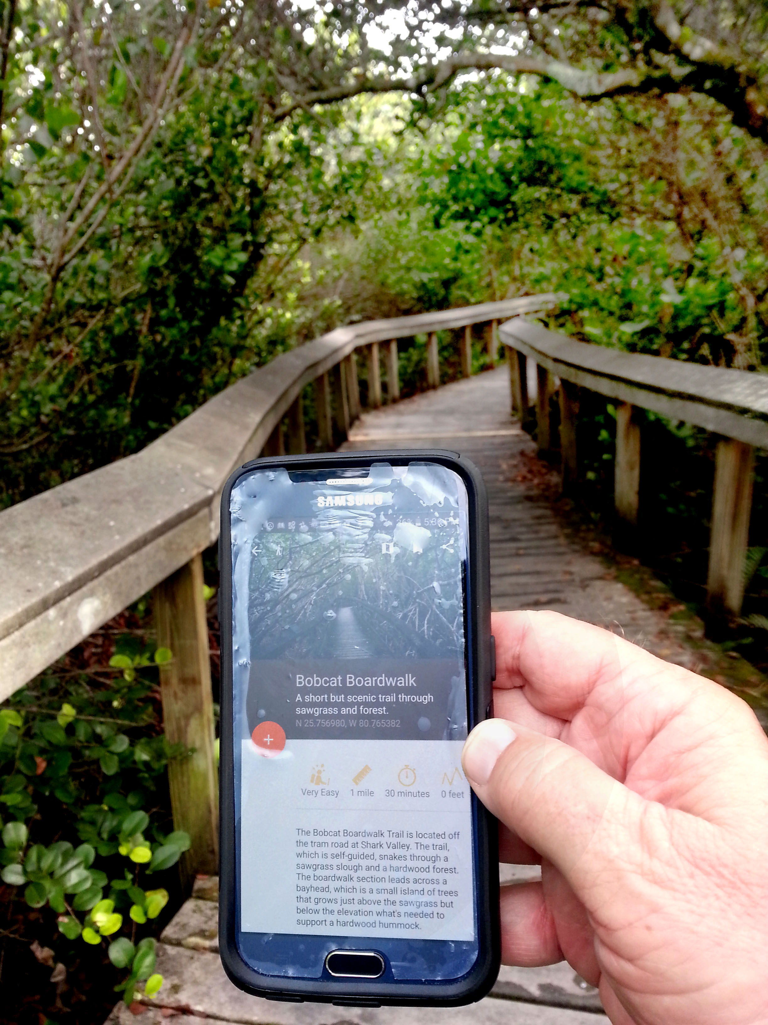 Chimani Park App is Like Having a Personal GPS-Powered Guide on Your Phone