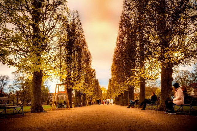 park benches