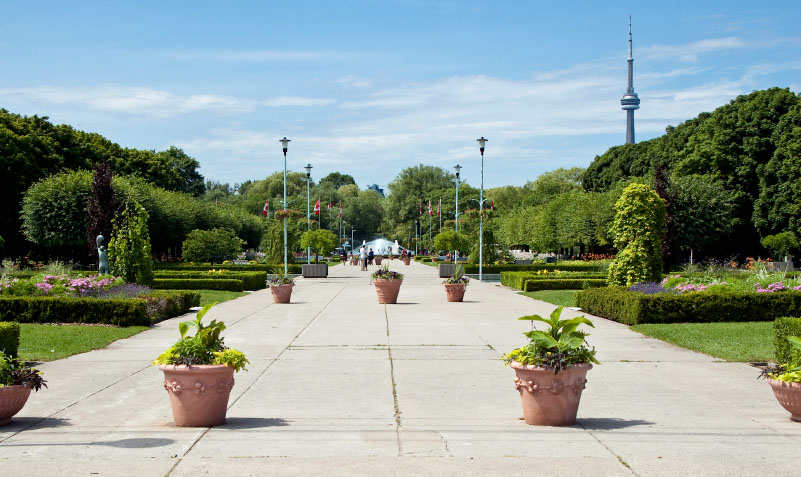 commercial concrete planters