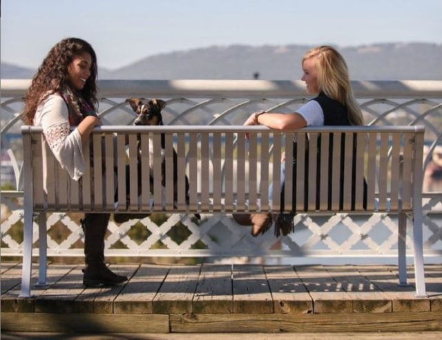 commercial park benches