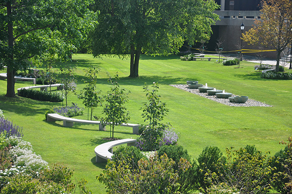 curved benches