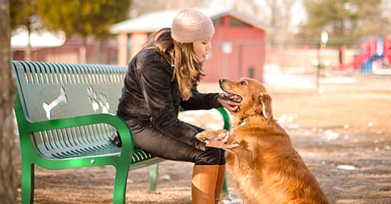 Why We Should Be Grateful To The Founder Of The First Dog Park