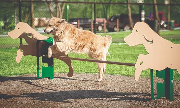 Basic Checklist For Starting A Dog Park With A Variety Of Dog Park Equipment