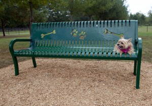 dog park equipment bench