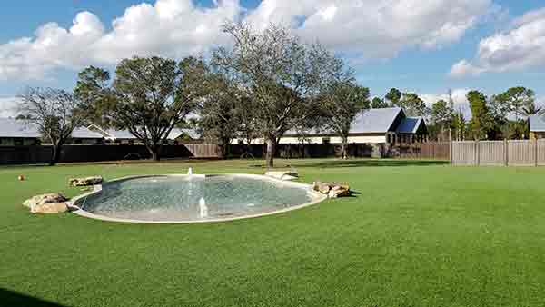 big dog ranch rescue