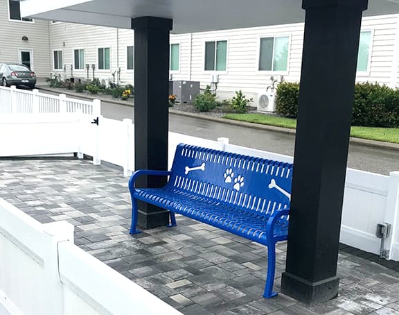 dog park bench