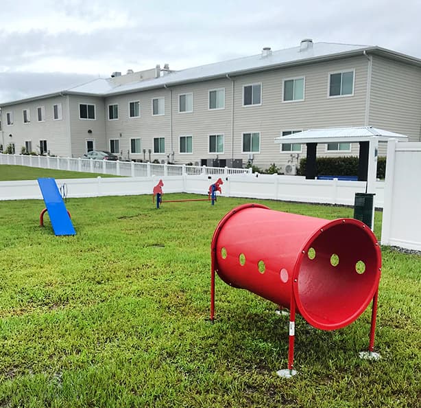 dog park equipment