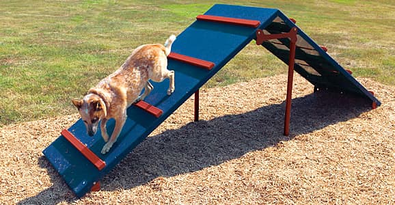 How To Organize A Group And Create A Dog Park In Your Town With Fun Dog Playground Equipment