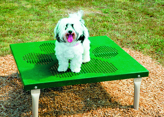 Top 20 Funny Quotes About Dogs