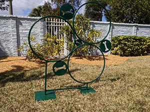 dog hoop jump