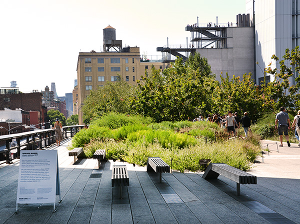 high line park nyc