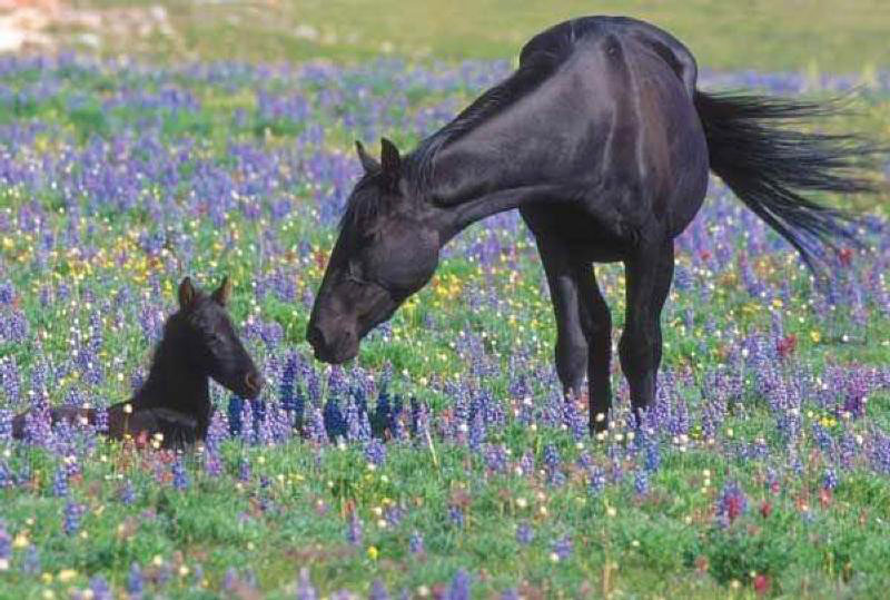 mom and child