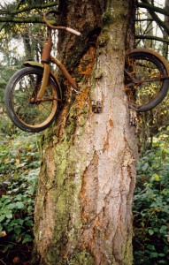 Tree bike