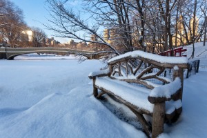 Old-fashioned wooden park bench in Central Park
