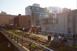the high line park in new york city