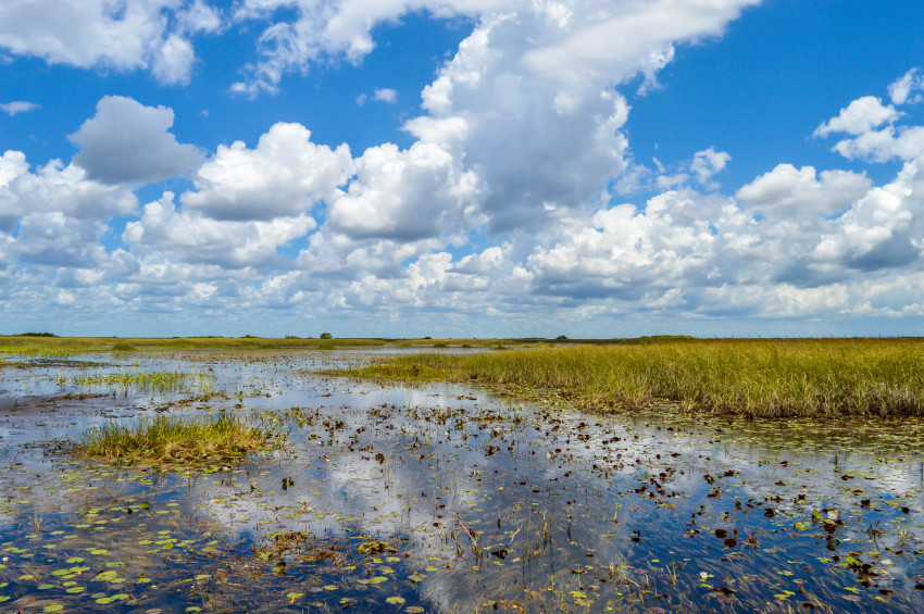 Park Catalog Donates Part of Proceeds from Recycled Plastic Benches and Other Recycled Products to Everglades Foundation