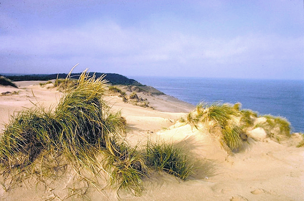 indiana dunes natonal park