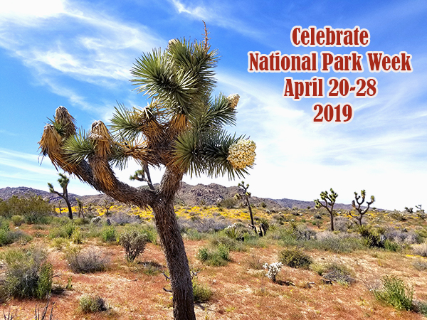 Here Are Some Great Freebies And Events For National Park Week April 20-28, 2019