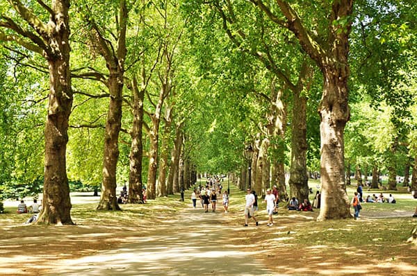 london's green park
