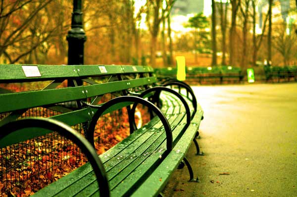 memorial bench central park