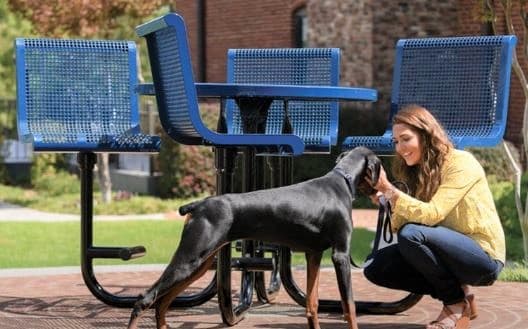metal picnic tables with contoured seats