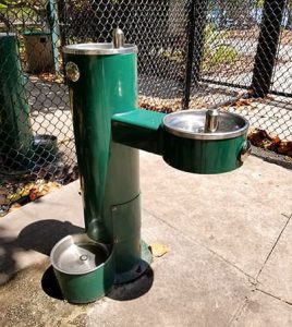 doggy pet drinking fountain