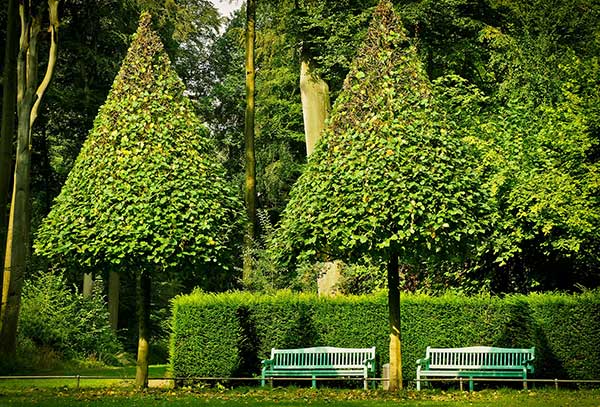 park benches