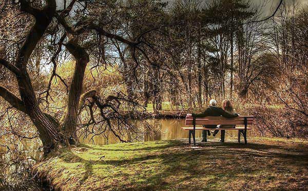 Did Your City Earn A Park Bench Rating From the Trust For Public Land?