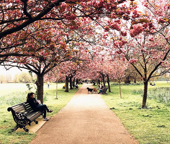 Study Of Park Benches In English Town Finds Interesting Results...And Ideas For Improvements
